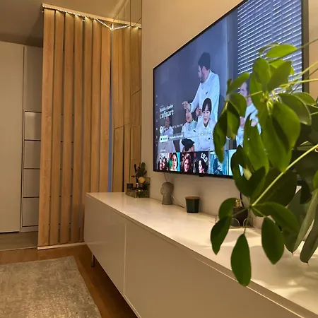 Central Apartment