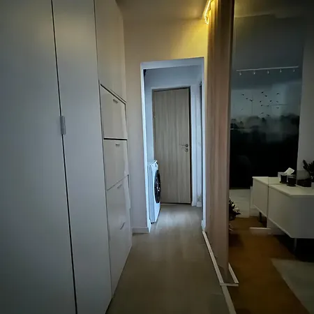 Central Apartment Apartment